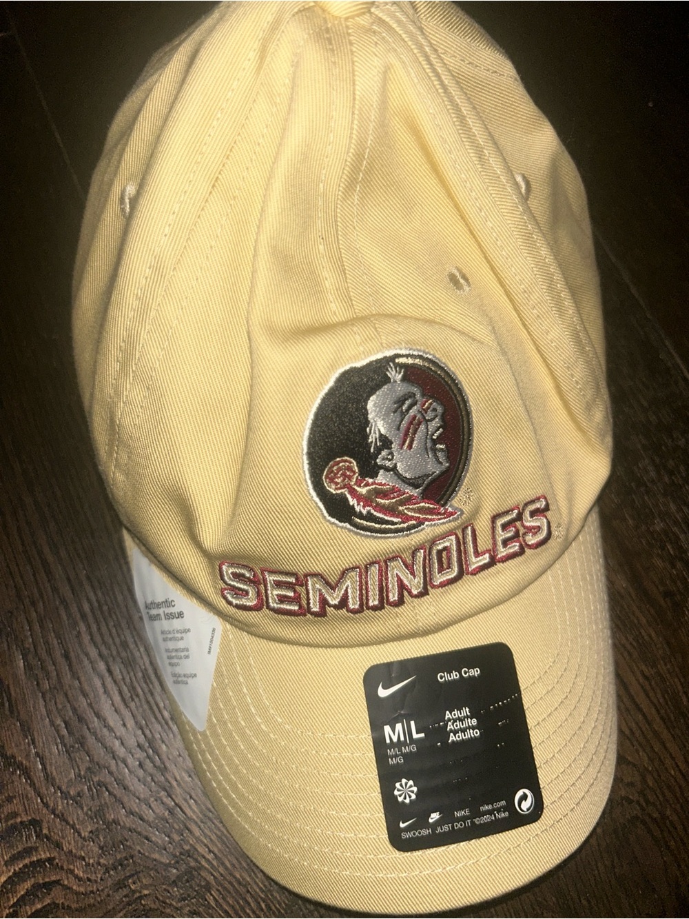 Nike Beige Florida State Seminoles Embroidered Cap